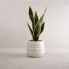 White Swirl Stoneware Planter - Foreside Home & Garden -Decor Home Life Store GUEST 048b91ee 6928 41e6 8a77 cabe0552121c