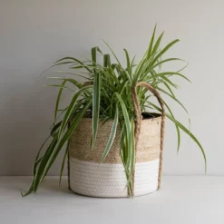 Natural Woven White Seagrass & Rope Basket - Foreside Home & Garden -Decor Home Life Store GUEST 0b8366d4 5025 4237 bb35 6ad4f5abee7d