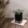 Footed Planter Black Metal - Foreside Home & Garden -Decor Home Life Store GUEST 10eecab3 1ec6 4a3c 8724 431a38409f9d
