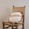 Tan With Pom Poms 16X16 Hand Woven Filled Round Pillow - Foreside Home & Garden 1 Tan With Pom Poms 16X16 Hand Woven Filled Round Pillow - Foreside Home & Garden -Decor Home Life Store GUEST 2a4cb441 58f5 4d3e 8a85 1ad2e88676ed