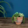 Small Natural Terracotta Painted Planter - Foreside Home & Garden -Decor Home Life Store GUEST 424ad480 589f 4ebb bc30 63ce1e5c8f32