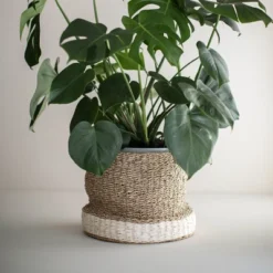 White Rope & Seagrass Basket - Foreside Home & Garden -Decor Home Life Store GUEST 53816324 09cf 46e1 84c5 cd41432c8d09