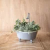 Antique Bathtub Planter Gray Metal - Foreside Home & Garden -Decor Home Life Store GUEST 55c2ba0f c1c6 4cc7 90f2 bbe78eef1067