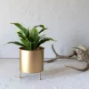 Raised Brass Metal Planter By Foreside Home & Garden -Decor Home Life Store GUEST 5bfcde1b 8423 4aae a8f2 4a4560f16777