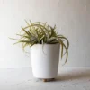 Footed Planter White Terracotta By Foreside Home & Garden