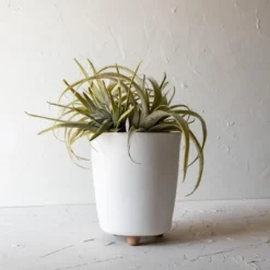 Footed Planter White Terracotta By Foreside Home & Garden