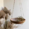 Shallow Dish Terracotta & Jute Hanging Planter By Foreside Home & Garden -Decor Home Life Store GUEST aacdc135 499b 4551 8669 53e7f21707ef