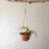 Wide Terracotta & Jute Hanging Planter - Foreside Home & Garden -Decor Home Life Store GUEST b3237e55 4dcb 4083 8cdf 561ebd0405c8