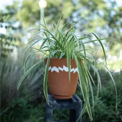 Multi Terracotta Planter - Foreside Home & Garden -Decor Home Life Store GUEST ce0e341c 8c21 44d0 acd0 ef5469545df7