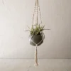 Round Hanging Pot Green Metal & Rope - Foreside Home & Garden -Decor Home Life Store GUEST dfbab4b1 38c1 4fb2 97a7 e05d59fcc740