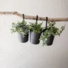 Set Of 3 Hanging Planters Black Metal - Foreside Home & Garden -Decor Home Life Store GUEST ef912574 6e00 4a1d 887d 9929ef52c019
